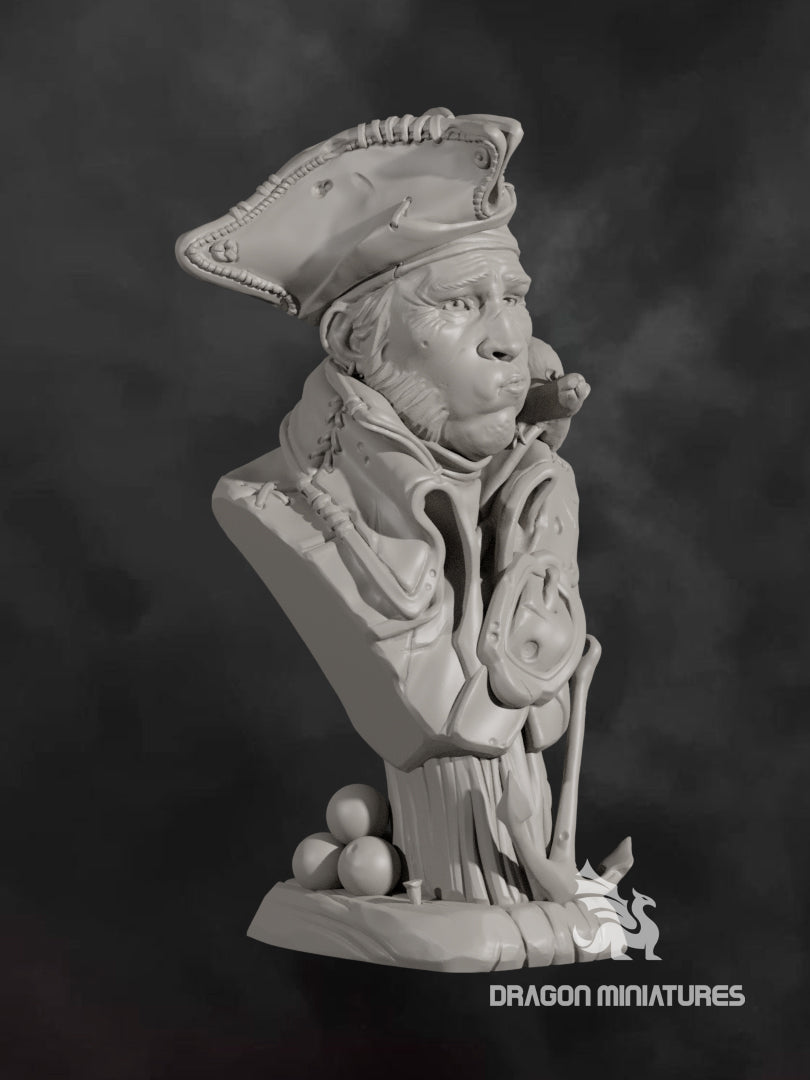 A pirate and his rat