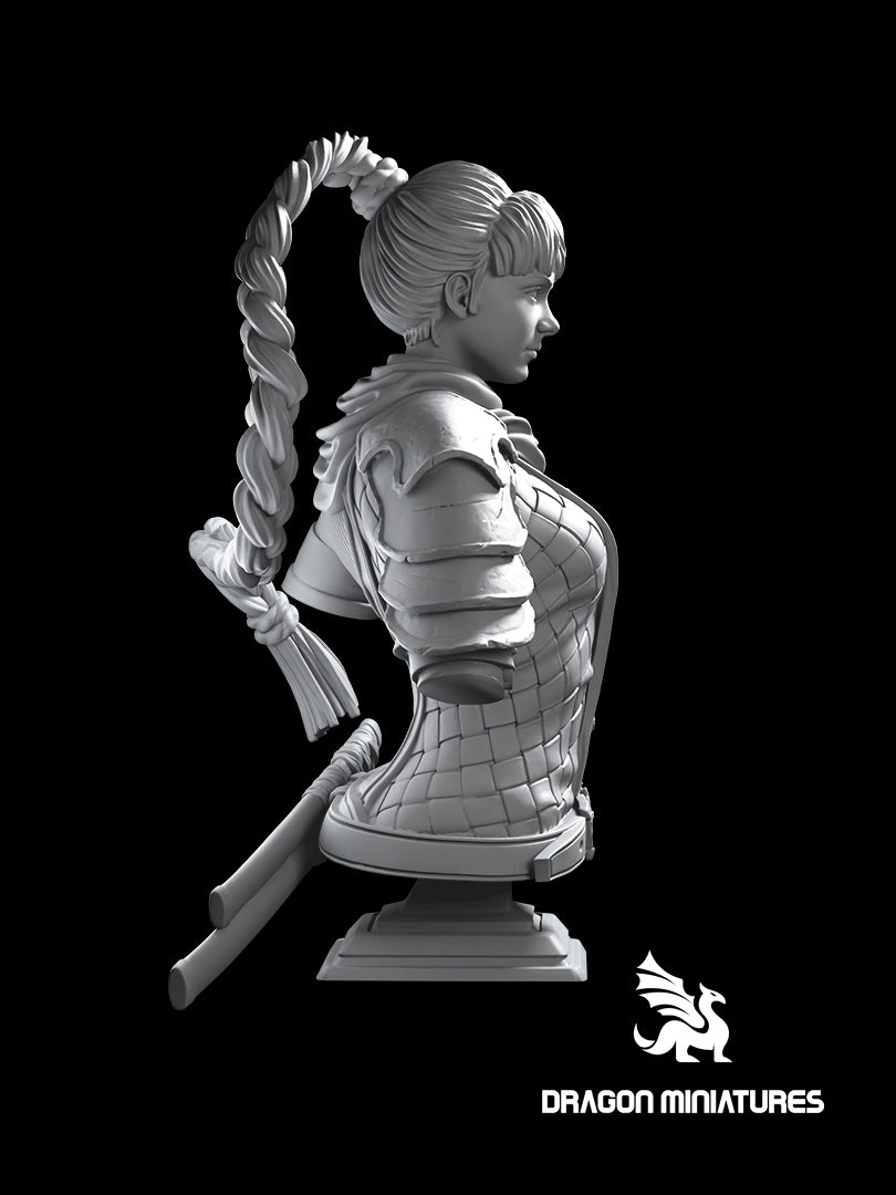 Assasin Bust