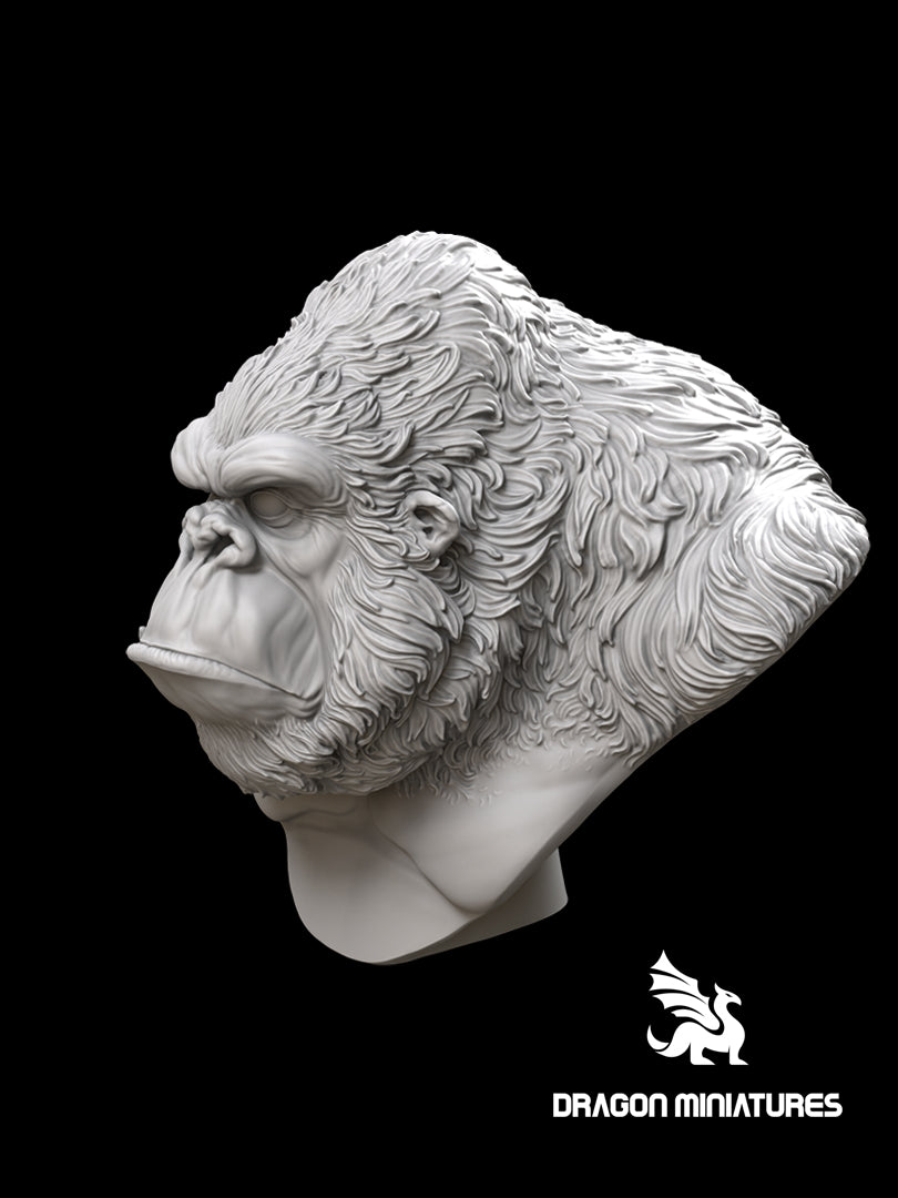 Kong