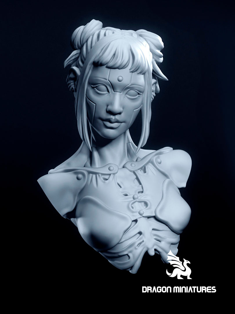 Cyber muse (Academic)