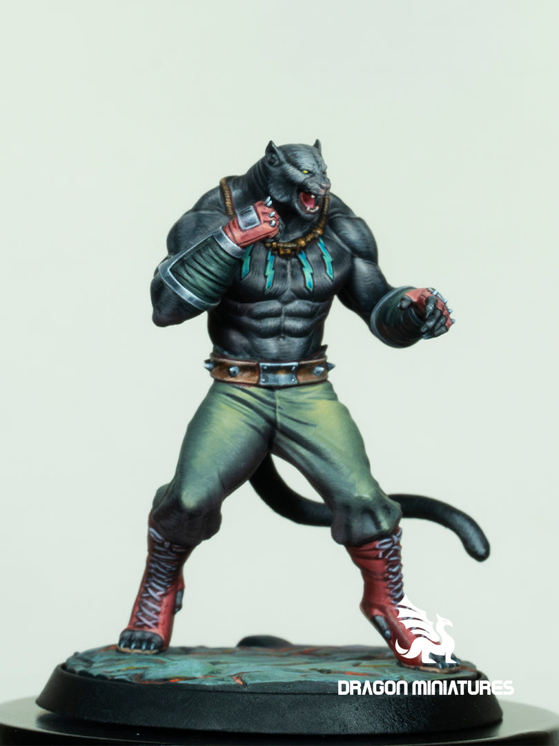 Kuro, the Streetwise Panther