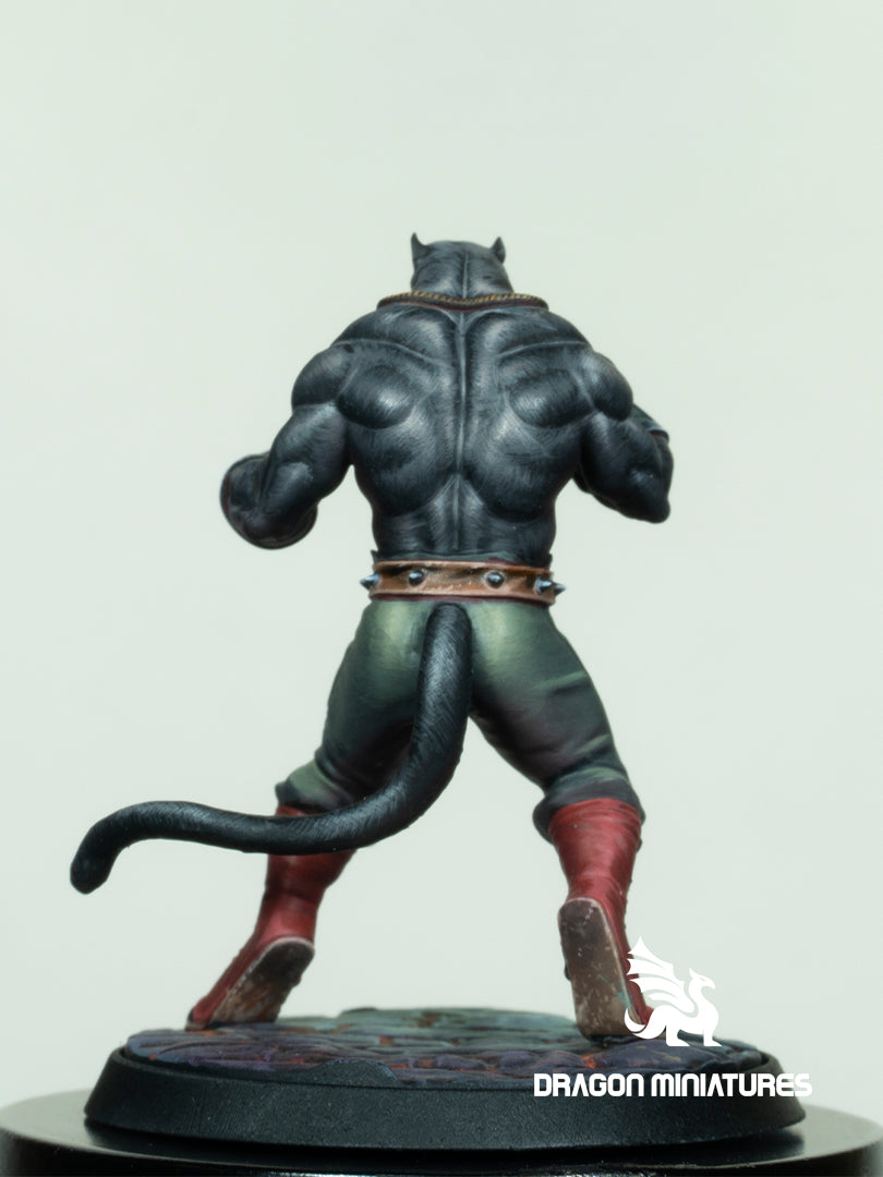 Kuro, the Streetwise Panther