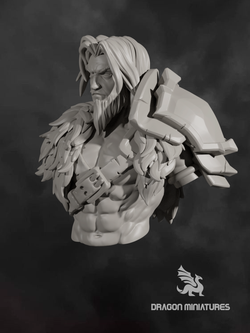 Torkas BUST