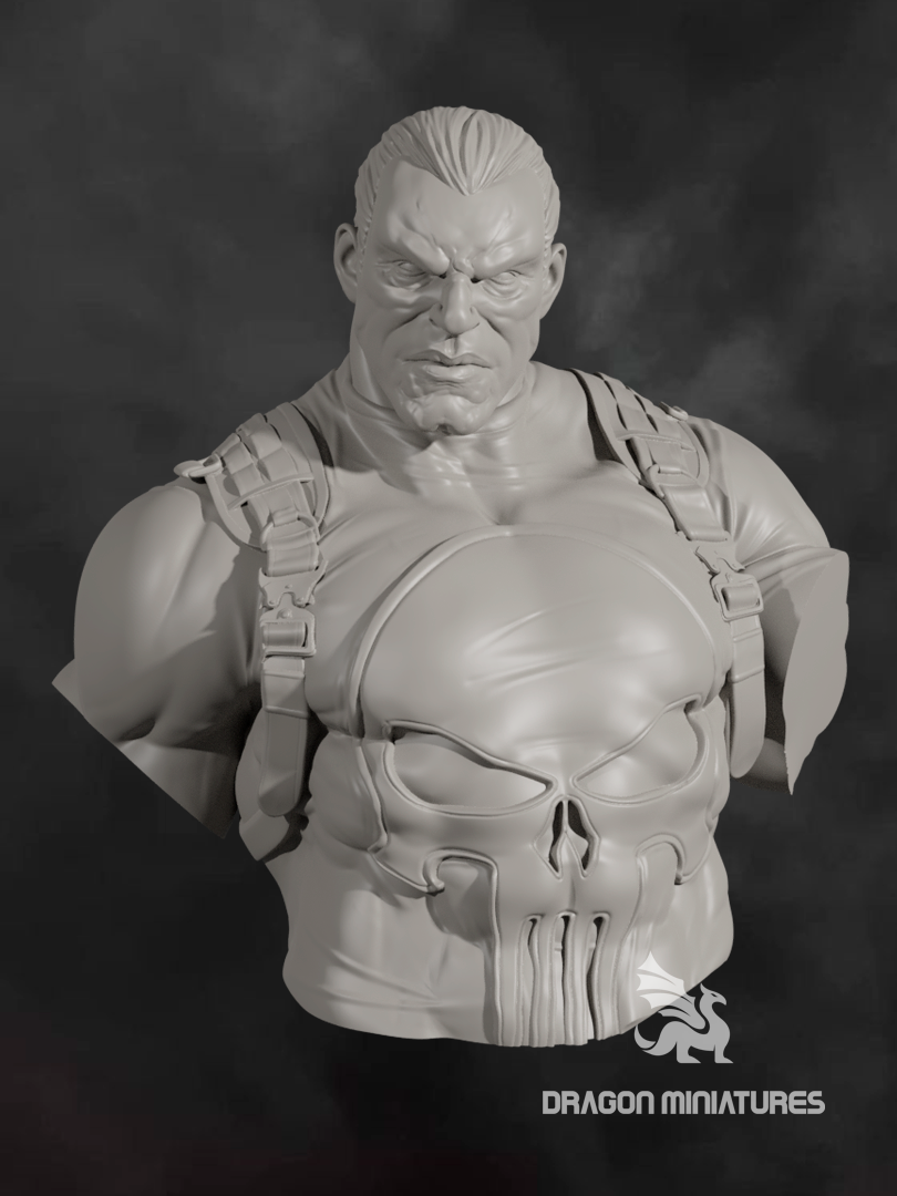Punisher bust