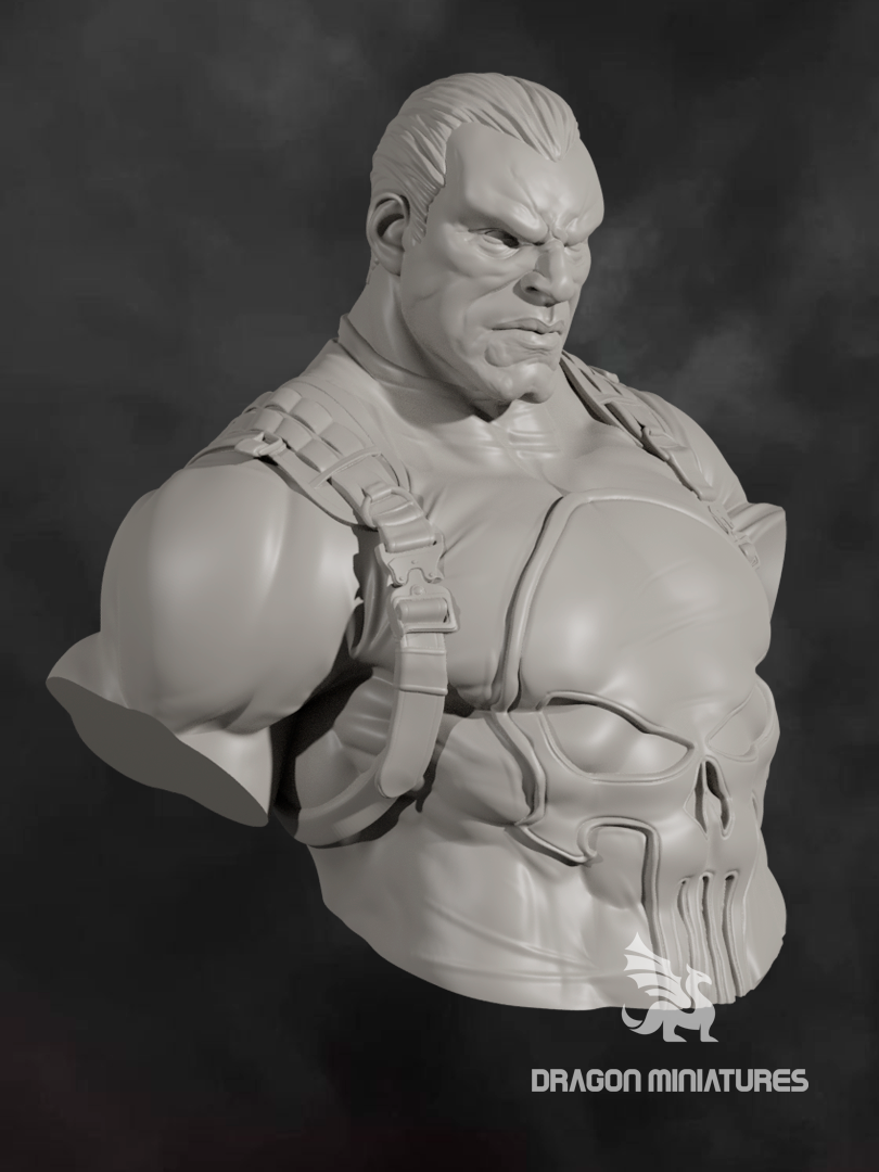 Punisher bust