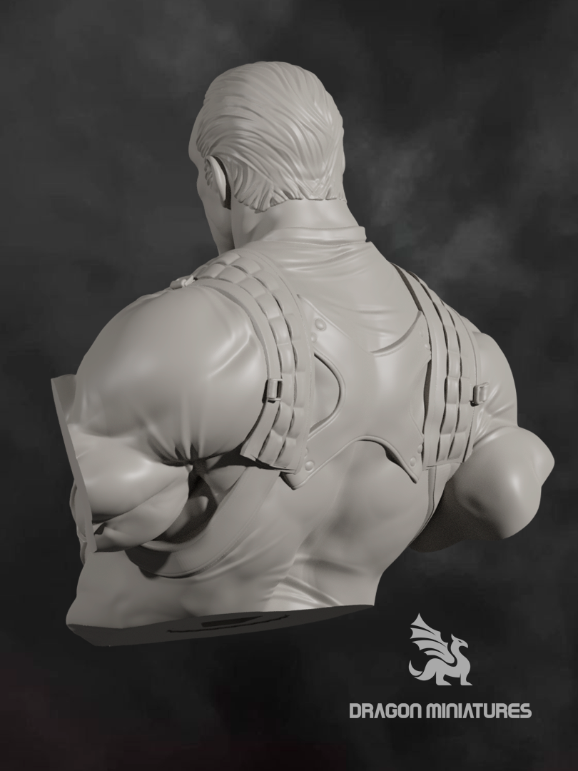 Punisher bust