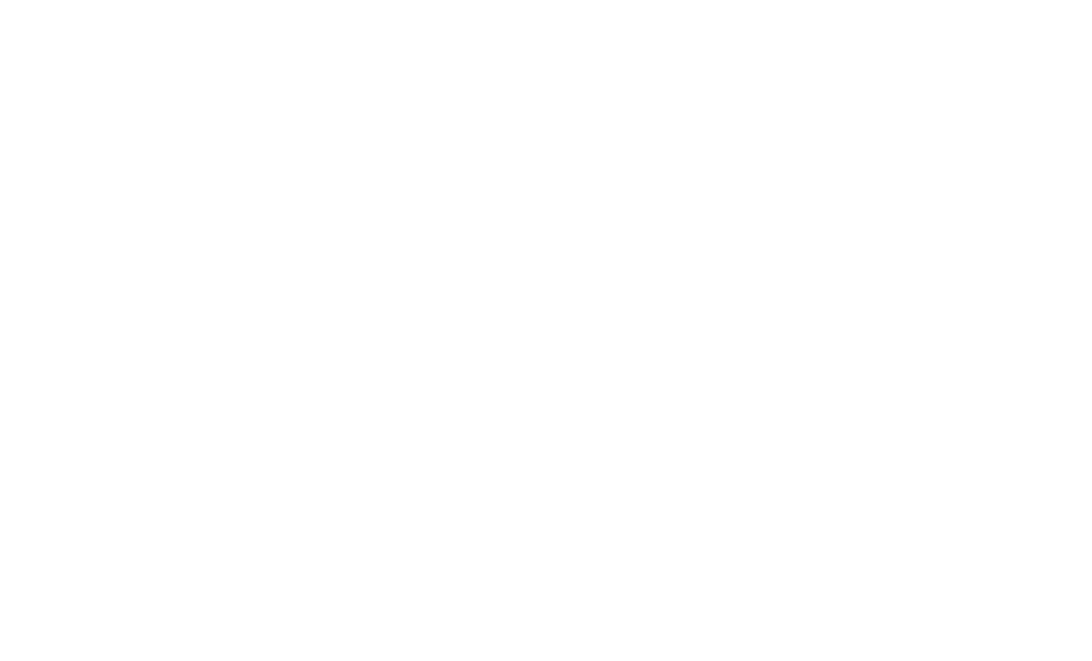 dragonminiatures