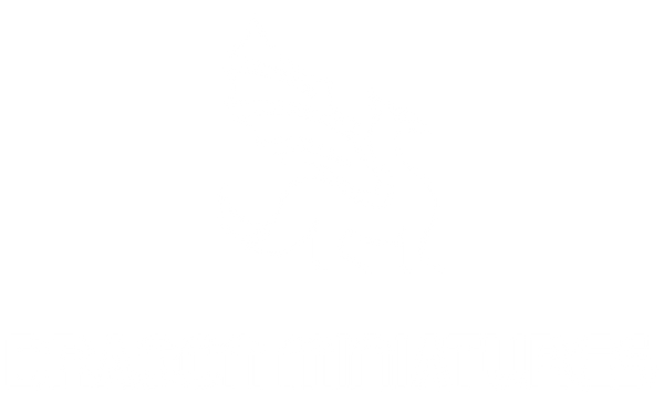 dragonminiatures