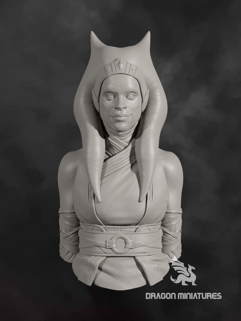 akuma bust