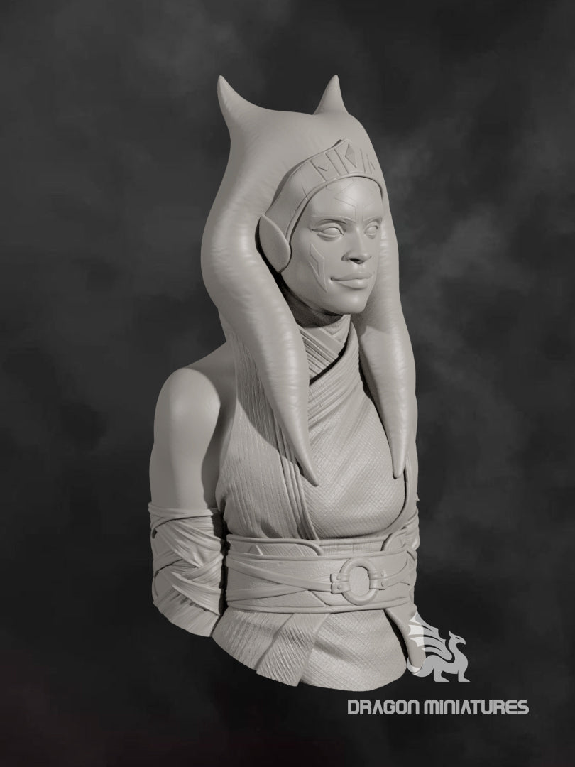 akuma bust