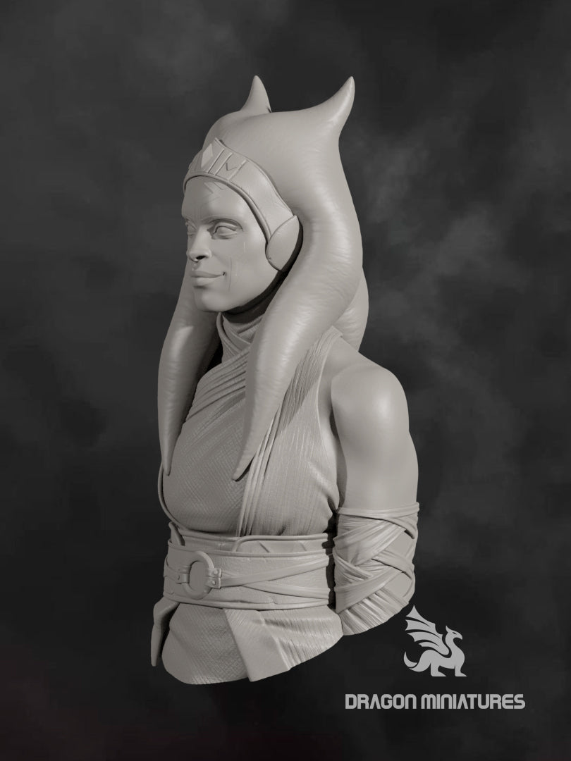 akuma bust