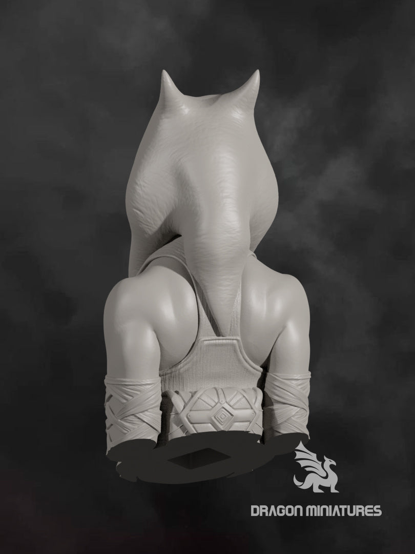 akuma bust