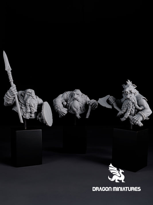 Brotherhood of Boar – Bust Pack