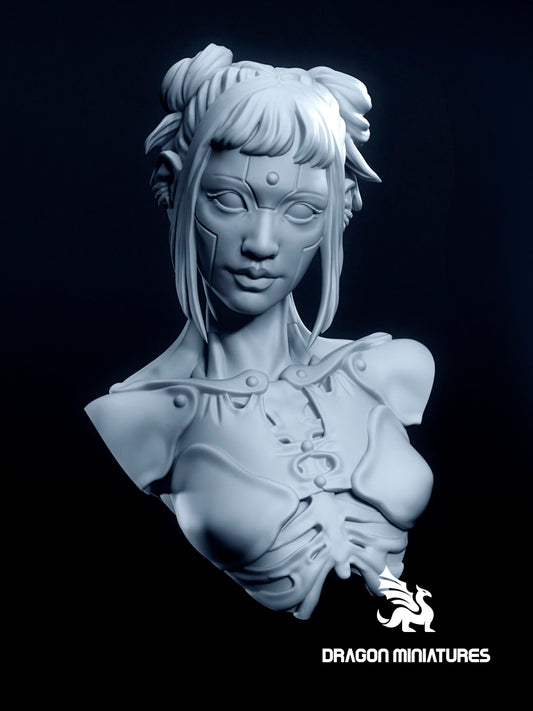 Cyber muse (Academic)