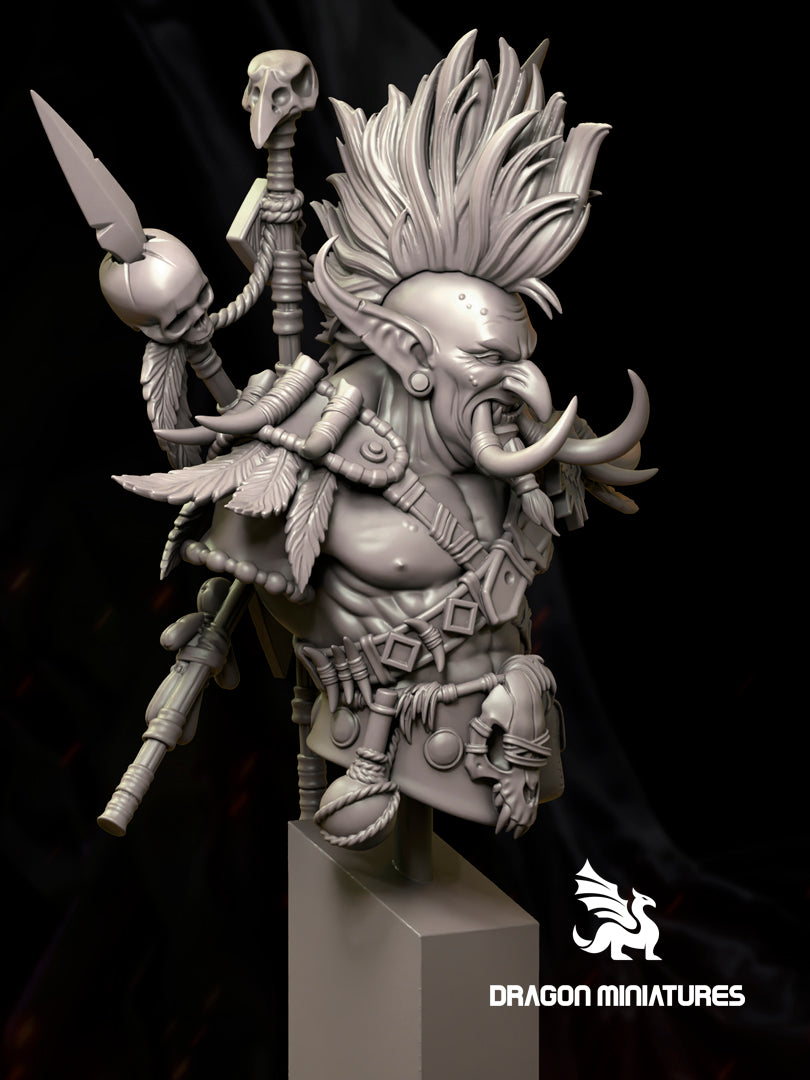 Master of the Shadows Bust