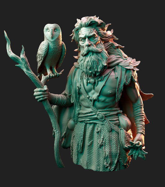 THE DRUID